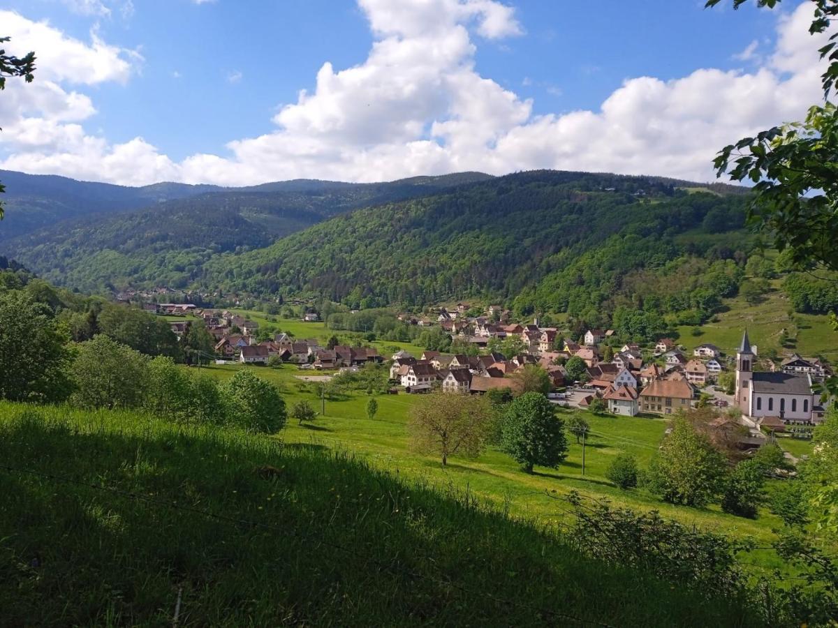 Le Gite Des Kritter Stosswihr Exterior foto